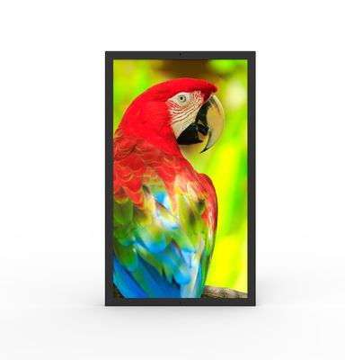 comprare Dispositivi HDMI resistenti all'acqua Dispositivi digitali commerciali 49 pollici Ultrawide Monitor online manufacture