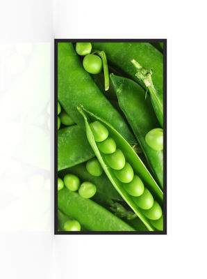 comprare 3000nits Display Advertiser impermeabile fabbricazione online