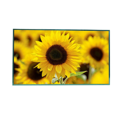 comprare Display Full HD 1920x1080 fabbricazione online