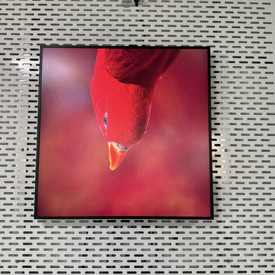 Risoluzione 948*948 Quadratura All In One Digital Signage con Interfaccia USB HDMI RJ45
