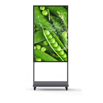 55 pollici IP67 impermeabile per esterni Digital Signage con display pubblicitario LCD da 5000 nit di luminosità